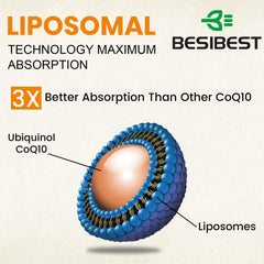 Besibest liposomal ubiquinol technology closeup illustrating enhanced absorption.