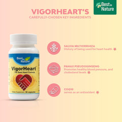Best in Nature VigorHeart herbal ingredients visual emphasizes all-natural formulation.