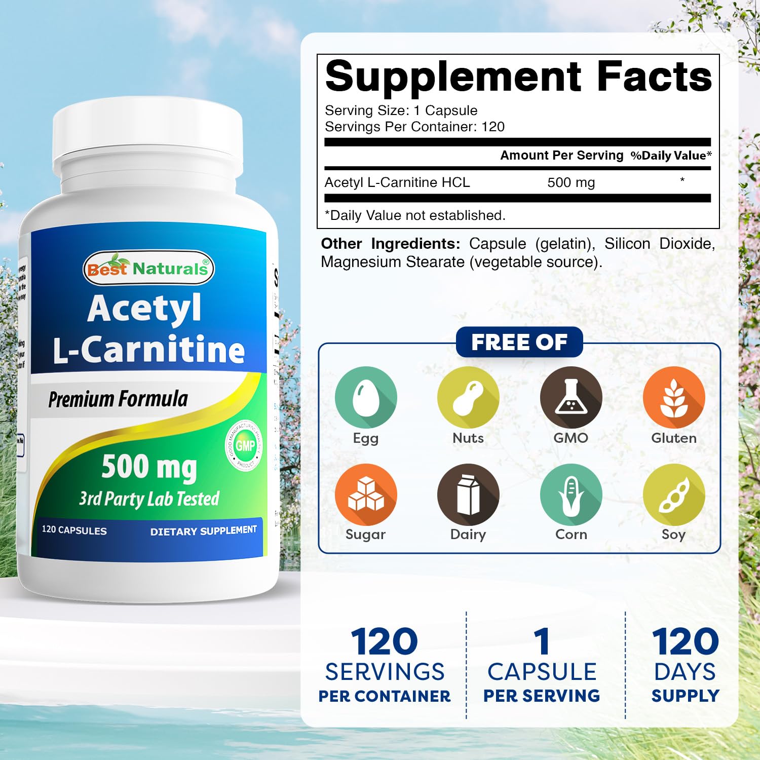 Close-up of Best Naturals ALCAR capsules for daily energy support.
