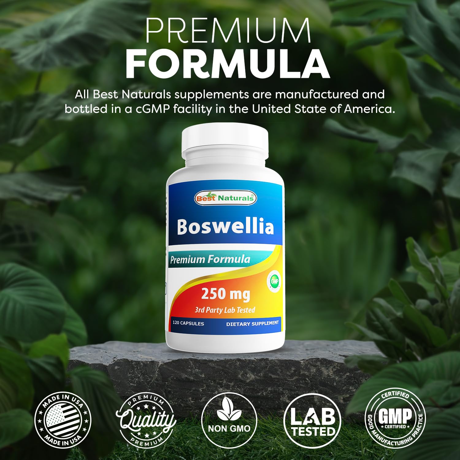 Best Naturals Boswellia Serrata Joint Health pack of 3 bottles for steady supply