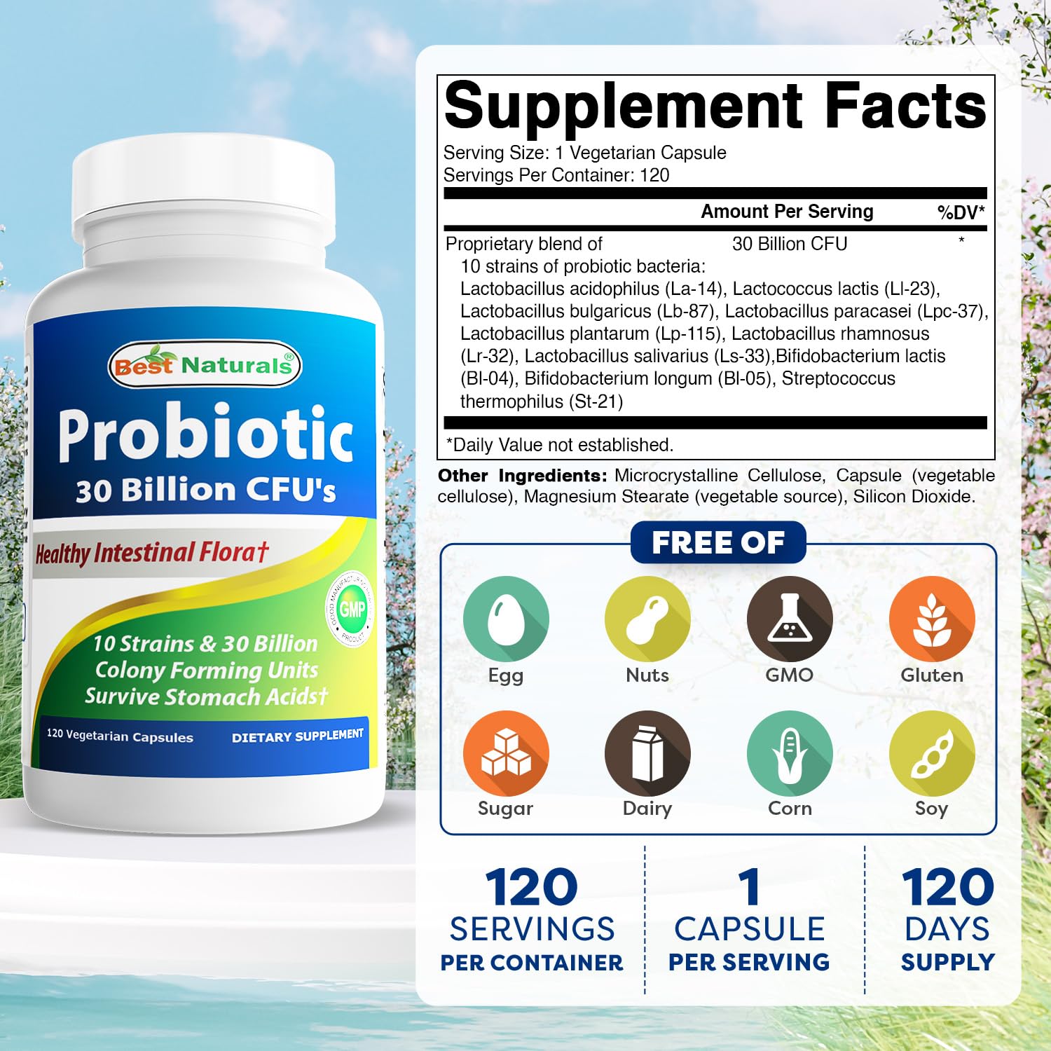 Best Naturals Probiotic 10 Strains illustration showing diverse cultures for balance