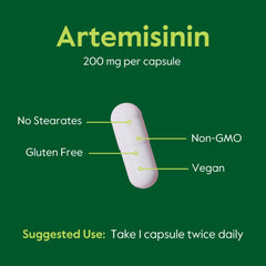 BESTVITE Artemisinin 200mg capsules arranged on a white background for daily use.