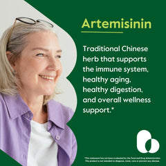 Bestvite Artemisinin 500mg bottle label highlighting non-GMO purity for clean daily use.
