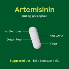Bestvite Artemisinin bottle on counter supports daily wellness routine.