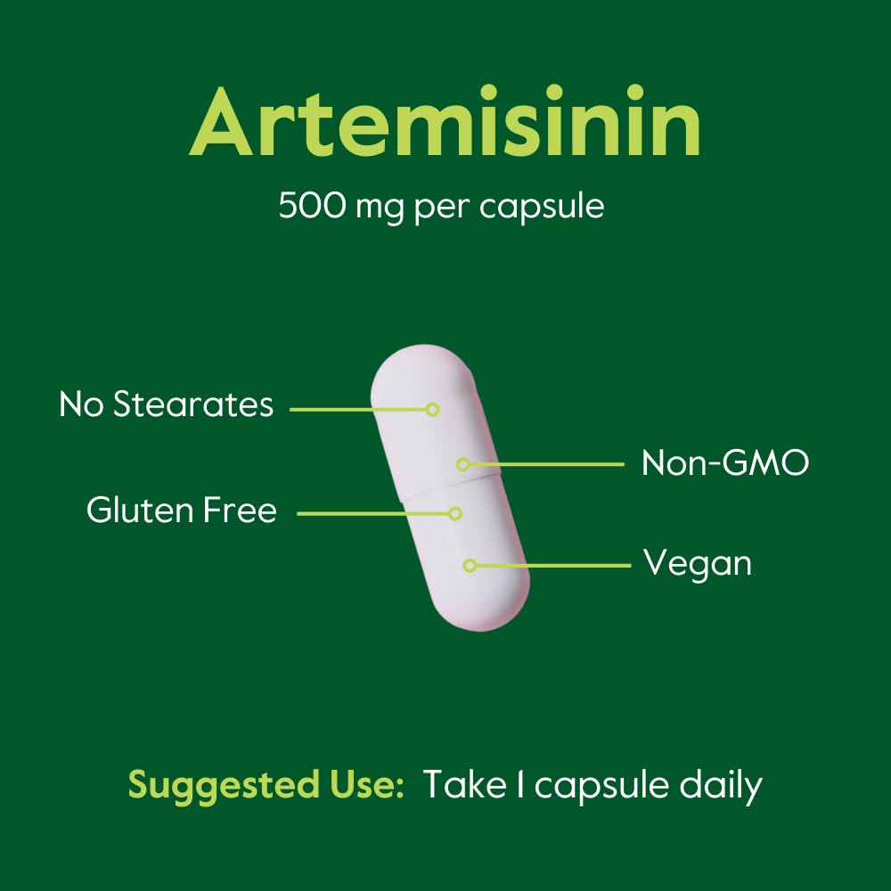 Bestvite Artemisinin ingredients list showing pure formula with no fillers.