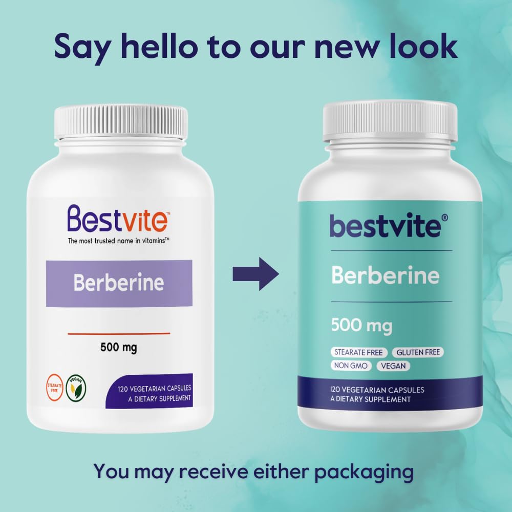 BESTVITE Berberine production view suggesting NSF GMP certification.