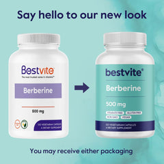 BESTVITE Berberine production view suggesting NSF GMP certification.