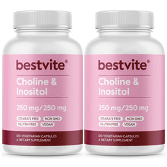 Bestvite Choline Inositol 500mg bottle — vegan capsules for nervous system support