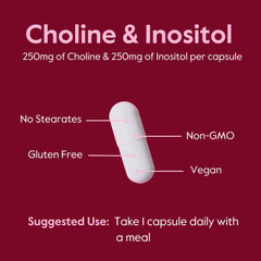 Bestvite Choline Inositol 500mg use with a balanced diet for daily wellness
