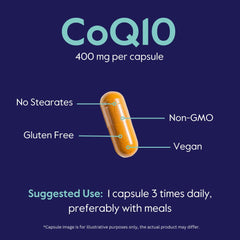 Bestvite CoQ10 bottle with GMP and NSF certification labels.