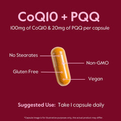 Bestvite CoQ10 + PQQ ingredients list shows natural fermentation.