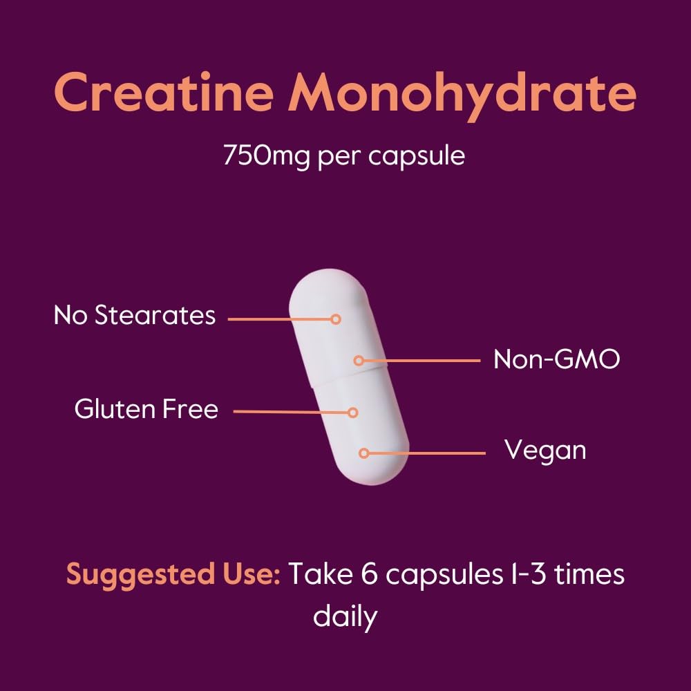 Bestvite Creatine Monohydrate full bottle on gym bench suggesting training support