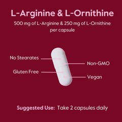BESTVITE L-Arginine L-Ornithine capsules close-up highlighting vegetarian-friendly capsule