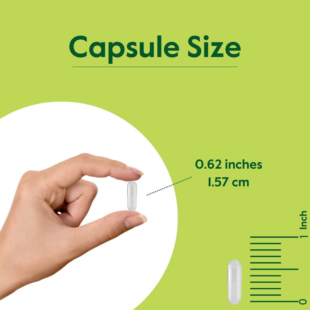 BESTVITE Pycnogenol 50mg capsule closeup reveals compact form for easy daily use.