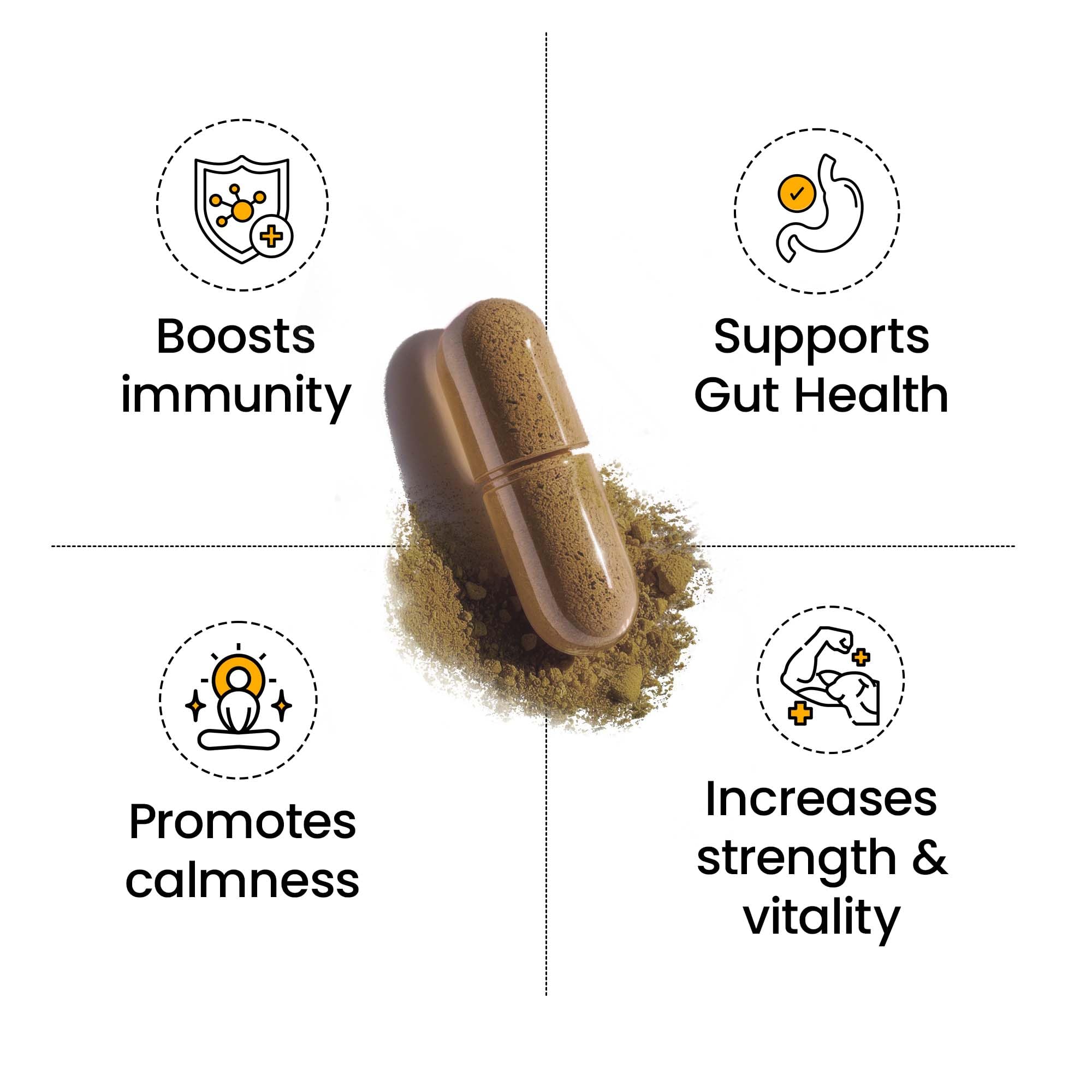 Better Alt Bladderwrack Burdock Root mix highlights trace minerals