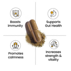 Better Alt Bladderwrack Burdock Root mix highlights trace minerals