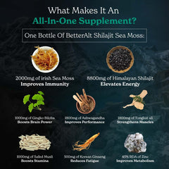 Better Alt Daily-use capsules setup implies routine-friendly wellness support.