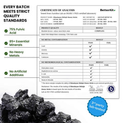 Better Alt Shilajit Stick energy-boost scene with 30 sticks in a convenient pack.