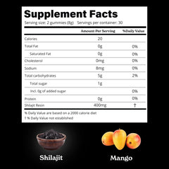 Better Alt Shilajit gummies travel pack designed for on-the-go wellness