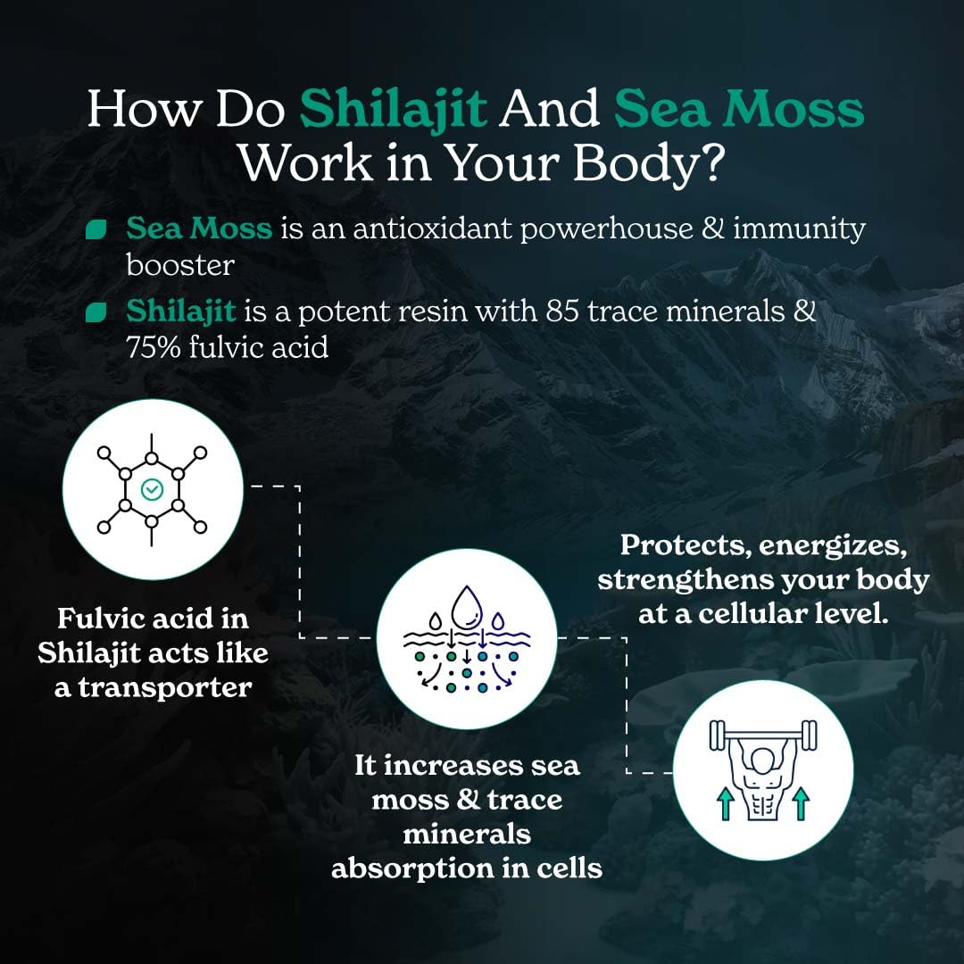 Better Alt Shilajit Seamoss capsules closeup contents emphasize purity and potency.