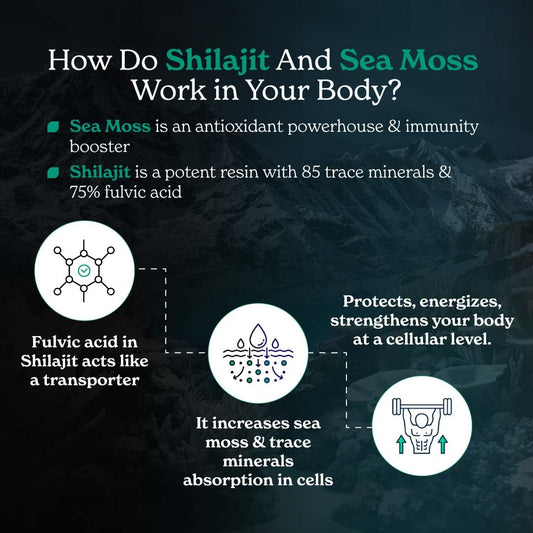 Better Alt Shilajit Seamoss capsules closeup contents emphasize purity and potency.