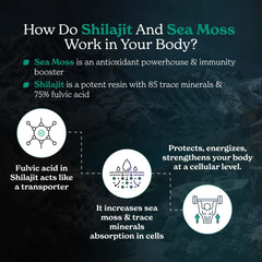Better Alt Shilajit Seamoss capsules closeup contents emphasize purity and potency.