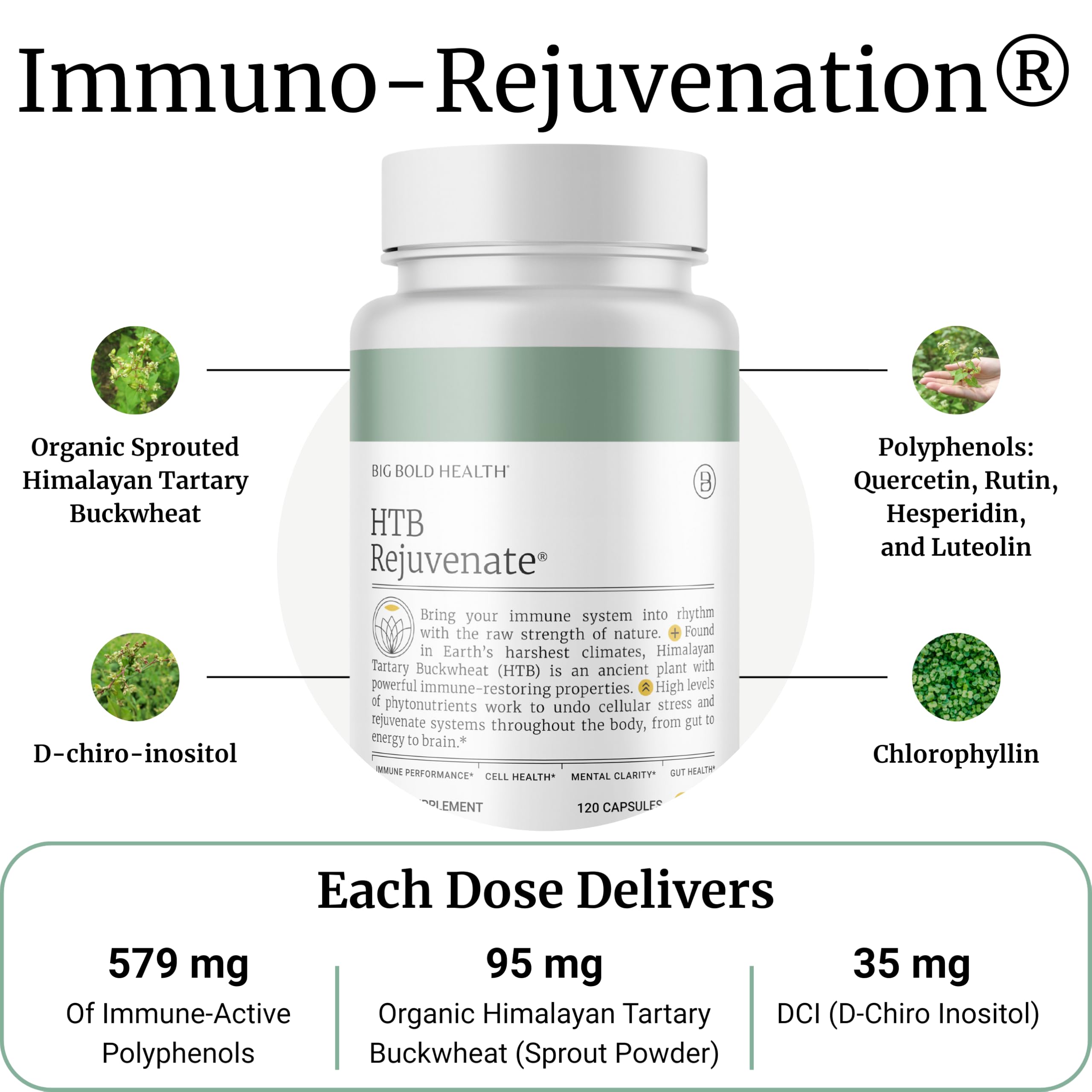 HTB Immune Rejuvenate capsules for convenient daily use