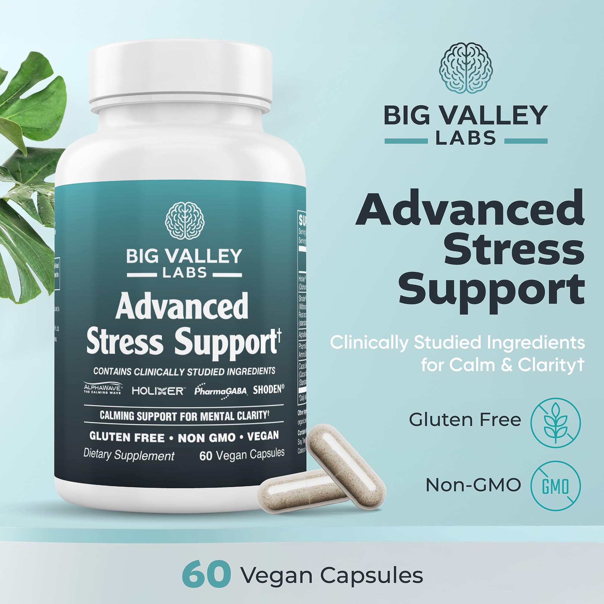 Big Valley Labs PharmaGABA capsules close-up for reduced perceived stress