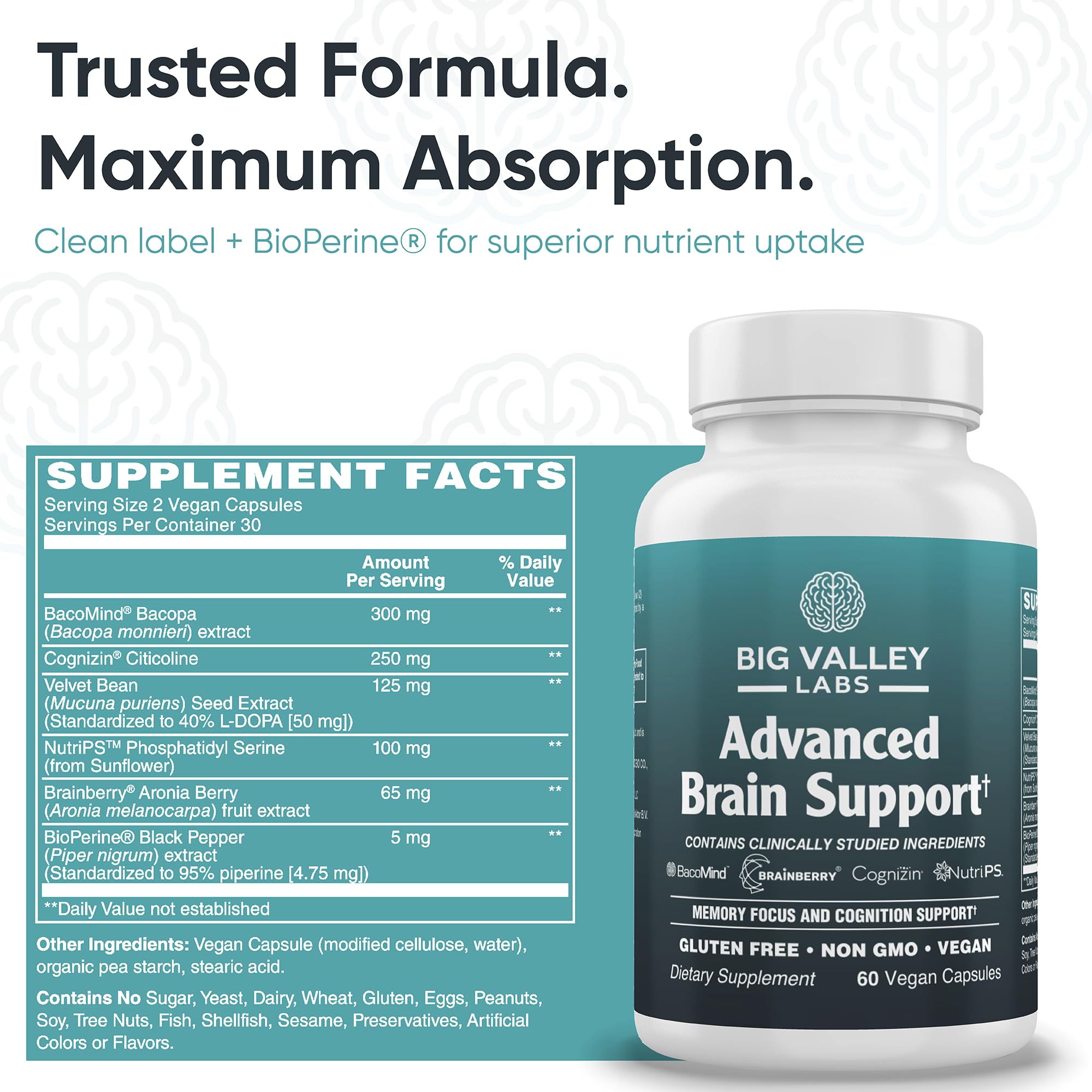 Big Valley Labs Brainberry capsules indicating natural antioxidants for balanced mood and alertness.