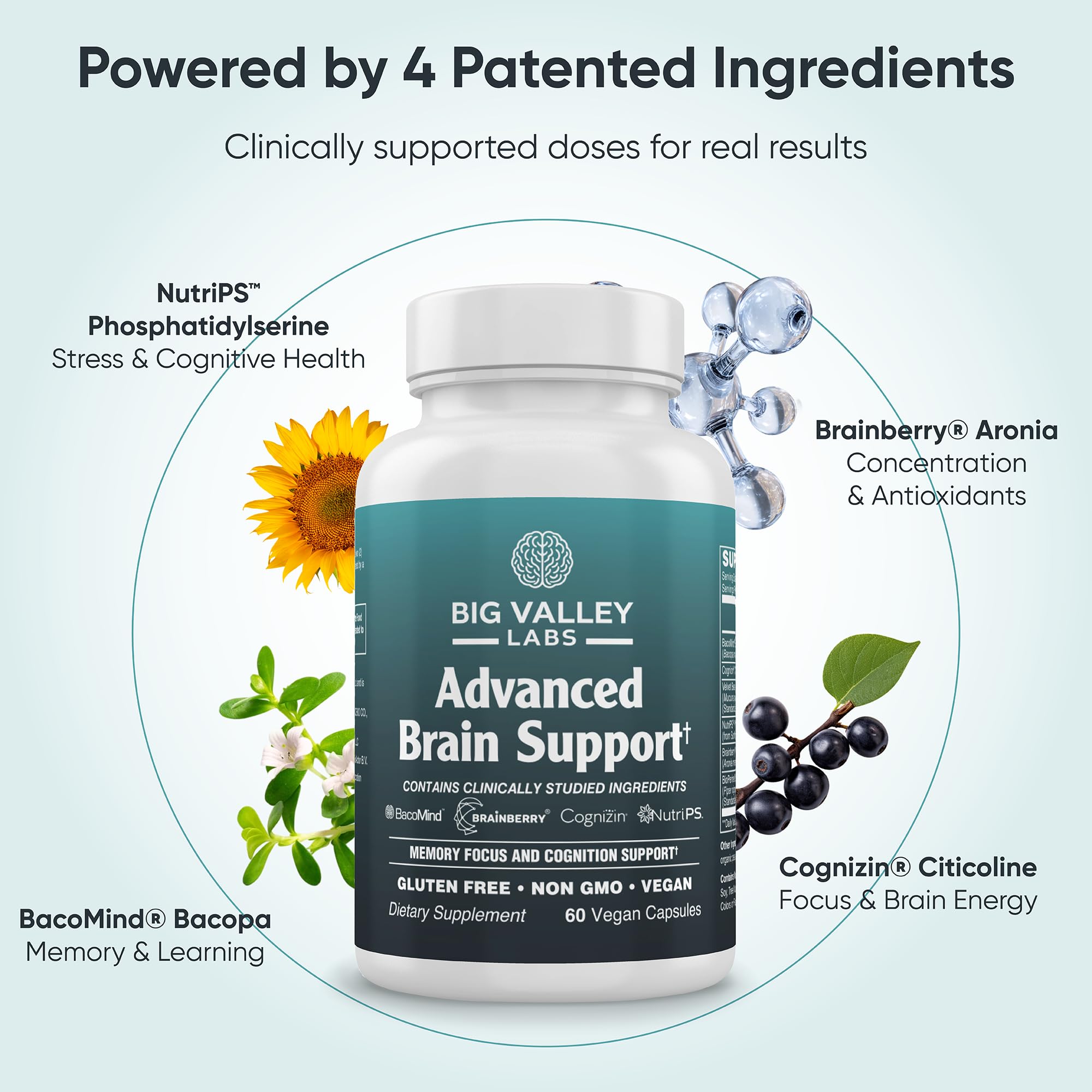 Big Valley Labs phosphatidylserine capsules emphasizing stress resilience and information handling.