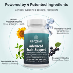Big Valley Labs phosphatidylserine capsules emphasizing stress resilience and information handling.