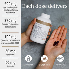 BIG BOLD HEALTH beta glucans graphic shows immune-friendly fiber in the formula.