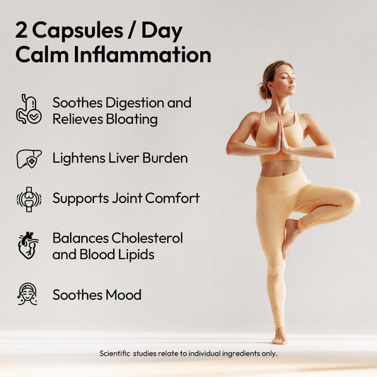 BIGVITA Curcumin+ L-Carnitine capsules for daily vitality