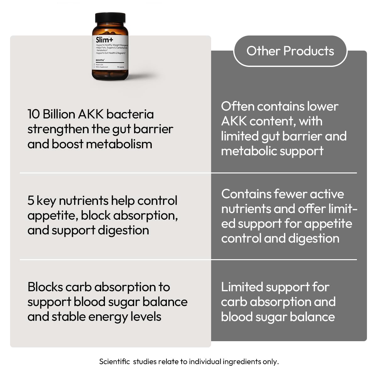 BIGVITA Slim+ gut health illustration with AKK probiotics and fiber, signaling gut-supporting potential.