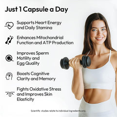 BIGVITA ubiquinol capsules close-up for sustained energy support