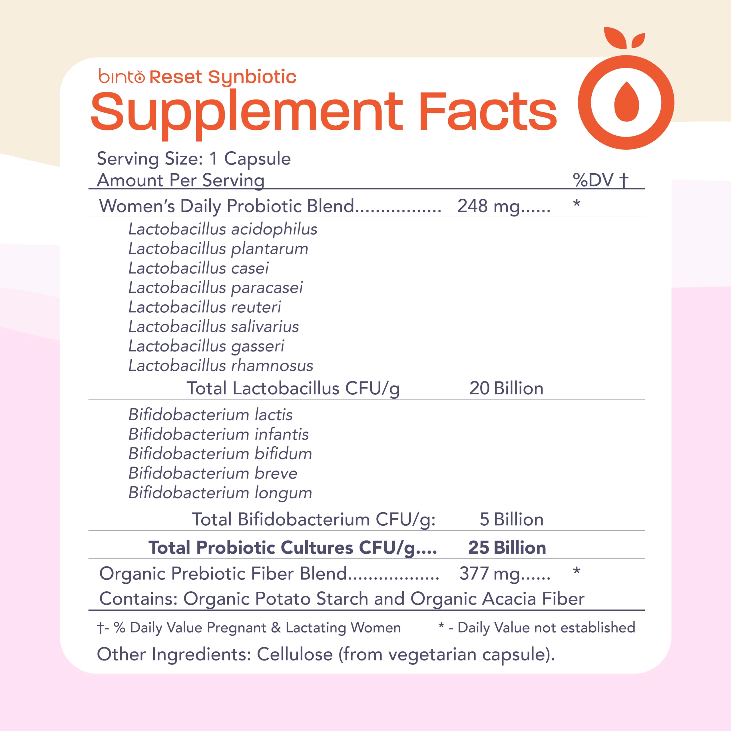 Binto Reset synbiotic capsules close-up for daily convenience.