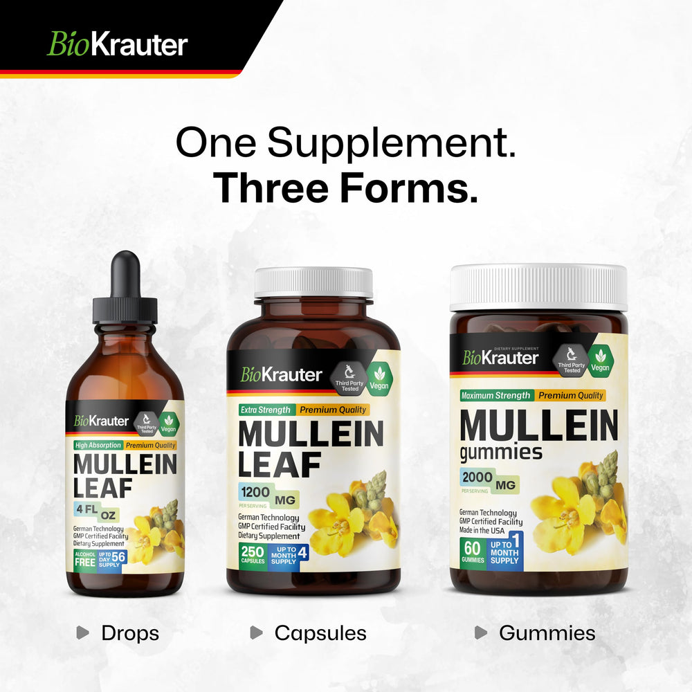 Bio Krauter Mullein Capsules dosing guidance: two capsules daily with meals