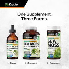 BIO KRAUTER sea moss capsules travel pack for on-the-go use.