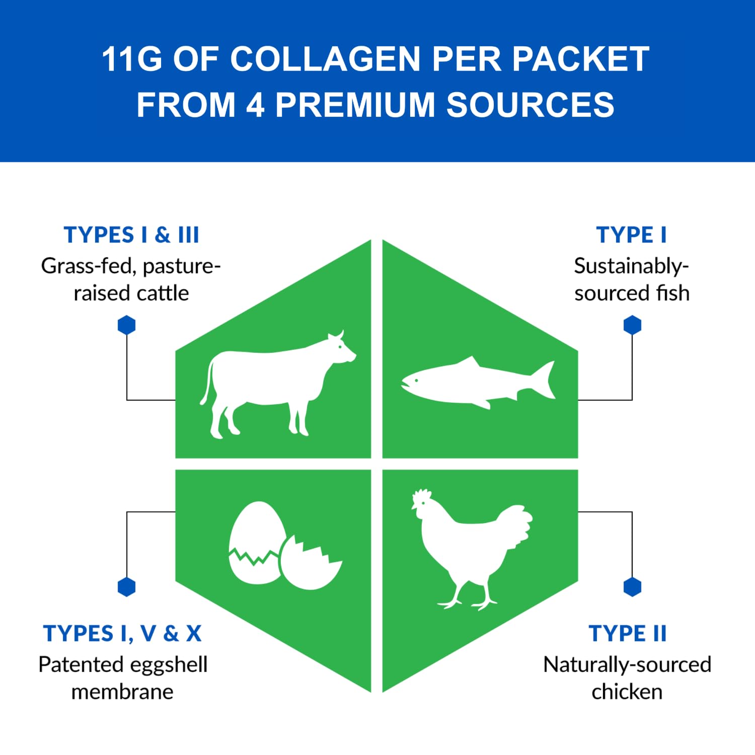 BioTrust Ageless Multi Collagen bottle label shown for informed shopping