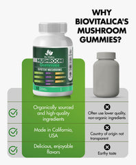 BIO VITALICA Mushroom Gummies 3-pack packaging displaying value option