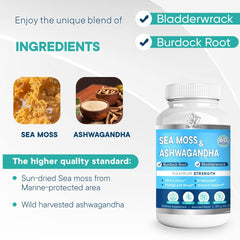 BioVitalica Sea Moss Ashwagandha Gummies closeup reveals inviting fruity taste.