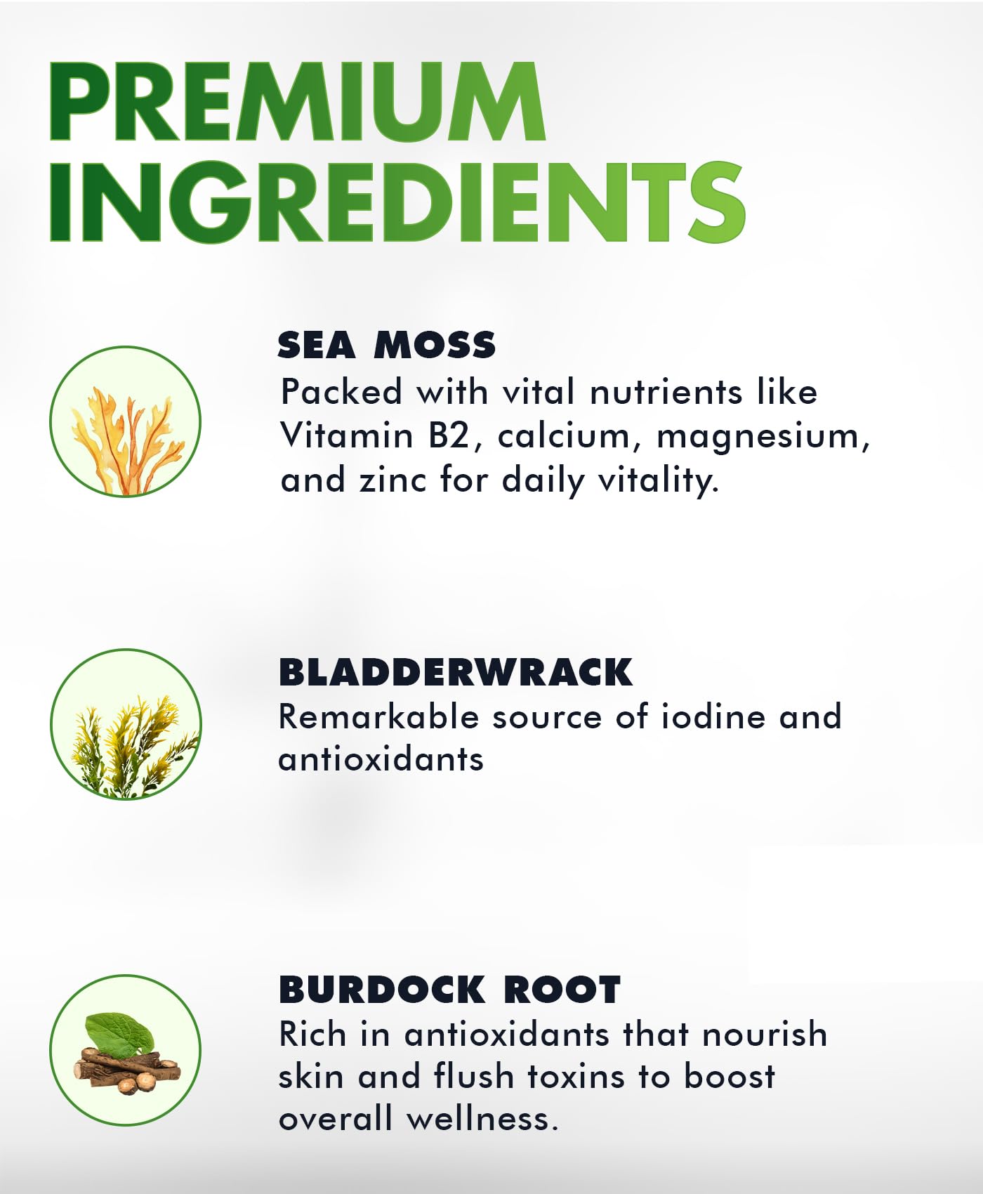 BIO VITALICA Sea Moss Gummies gummy close-up with fruity flavors