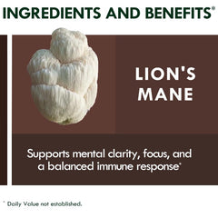 Reishi and Cordyceps gummies close-up for immune and energy support.