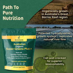 Biogenesis SuperGreens Plus ingredients table highlights core greens.