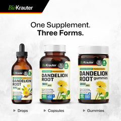 BIO KRAUTER Dandelion Root Extract packaging box product image