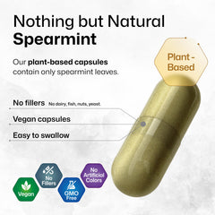 BIO KRAUTER Spearmint leaves closeup highlighting natural aroma for sensory appeal.