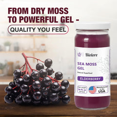 Biolore Elderberry sea moss gel bottle with label and vegan ingredients