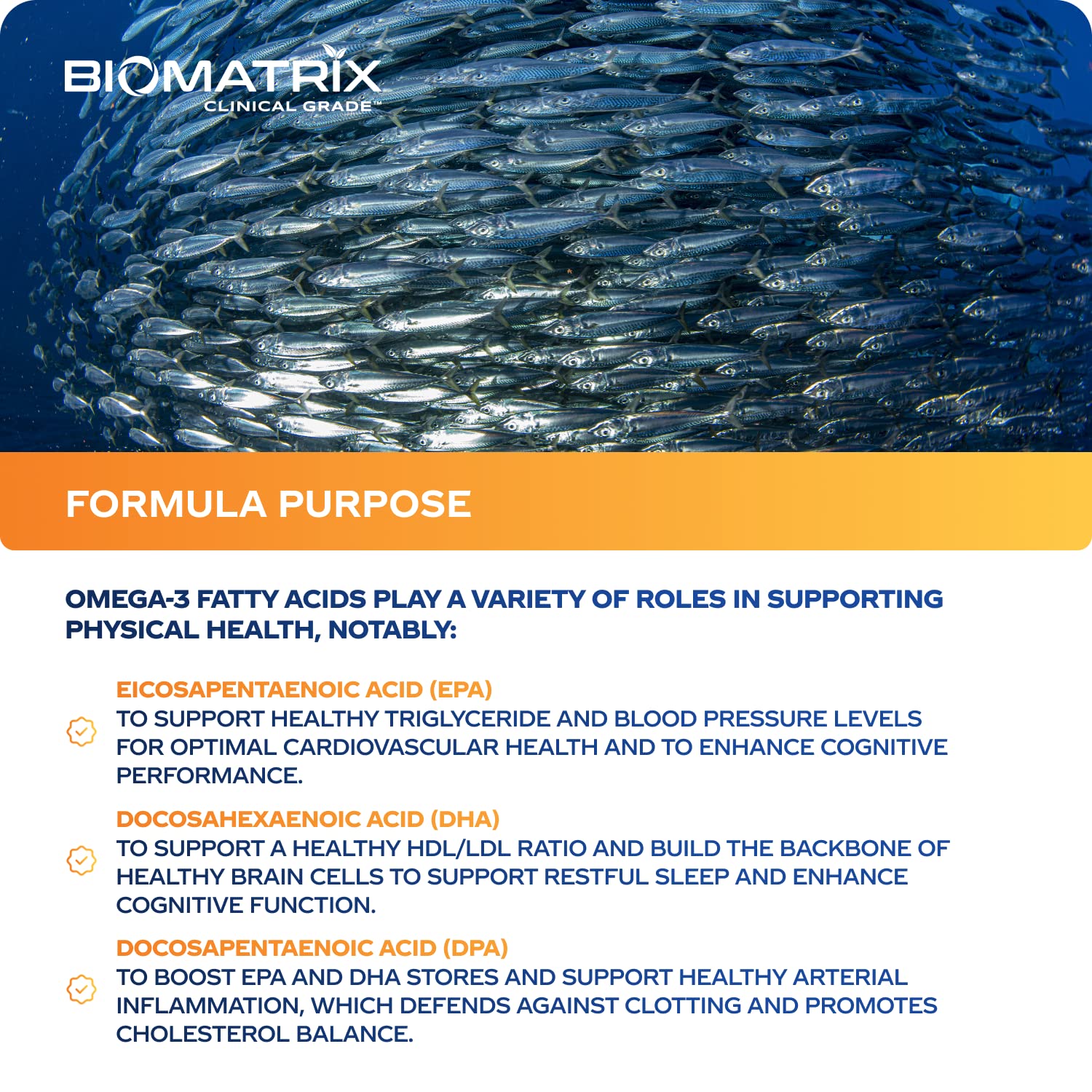 BioMatrix Support Omega on a morning table suggests mood and focus support as part of routine.