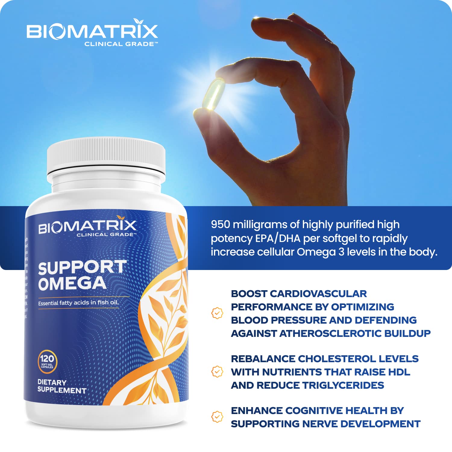 BioMatrix Support Omega softgel capsules illustrate rich EPA/DHA content in each serving.