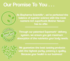 Biopharma Scientific NanoNeuro capsules pack on a neutral surface for convenient daily use